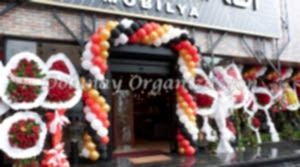 Açılış Organizasyonu - Dolunay Organizasyon