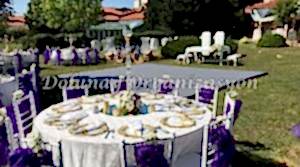 Masa Sandalye Kiralama - Dolunay Organizasyon