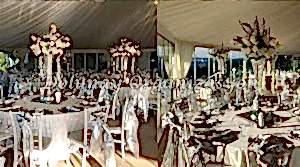 Masa Sandalye Kiralama - Dolunay Organizasyon