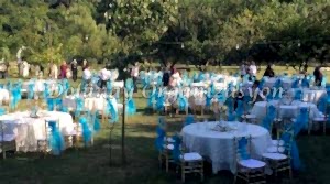 Masa Sandalye Kiralama - Dolunay Organizasyon