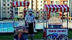 pamuk-seker-arabasi-kiralama-14